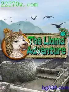 TheLlamaAdventure